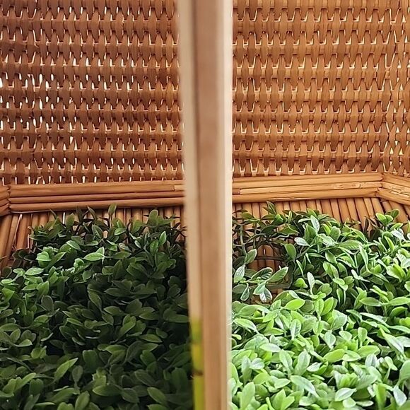 Vintage 1972 Walt Disney's Bambi Gets Lost Albert G. Miller Random House - Picture 7 of 11